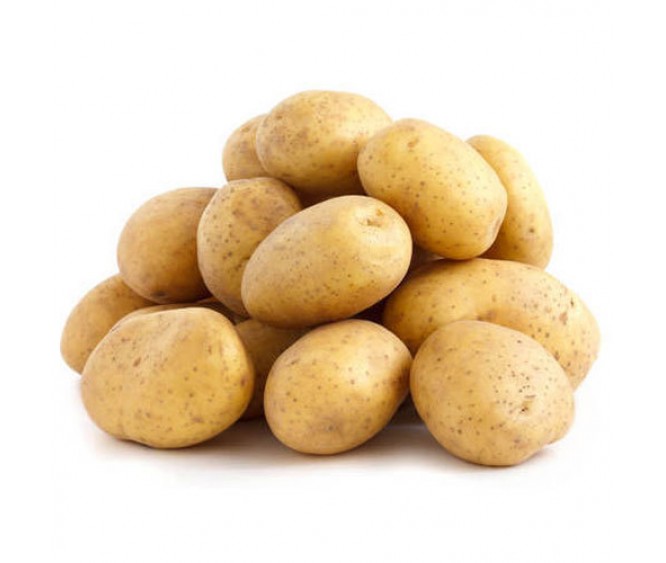 Holland Potato Unwashed China