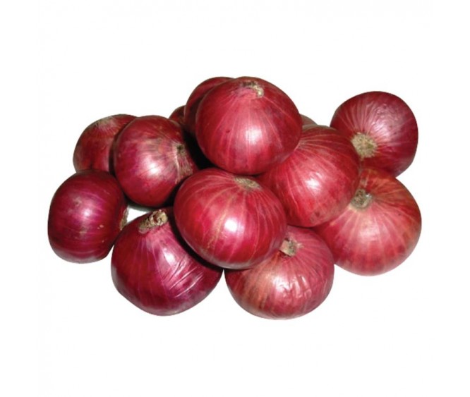 Red Onion India