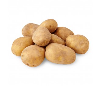 Dutch Table Potato Holland