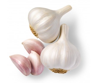 Whole Garlic China
